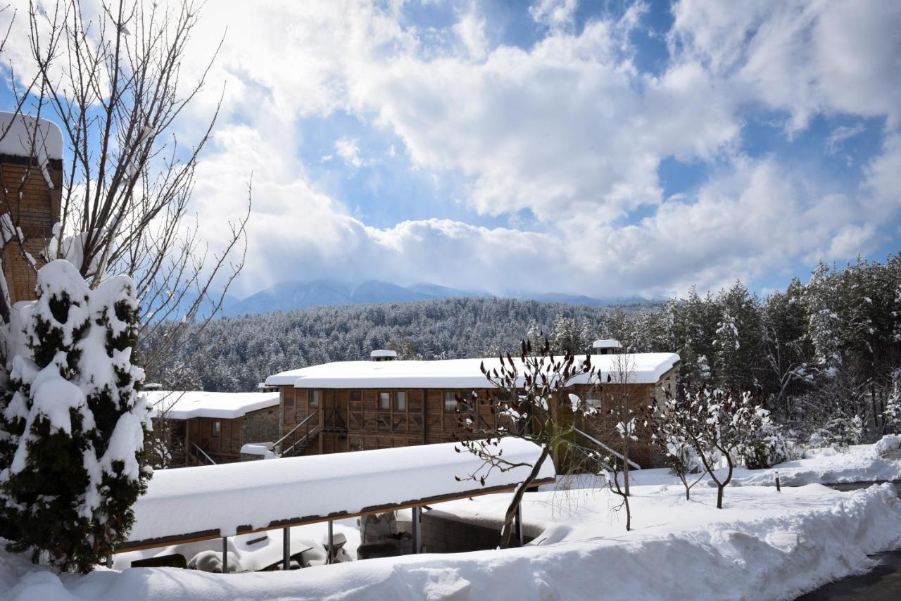 Katarino Spa Hotel バンスコ エクステリア 写真